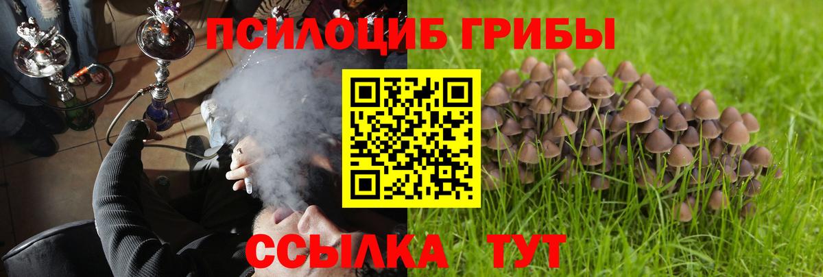 Псилоцибиновые грибы Magic Shrooms  Вход с VPN  Сыктывкар 